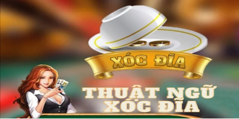 Thuật Ngữ Xóc Đĩa: Thế Giới Của Cờ Bạc Hấp Dẫn