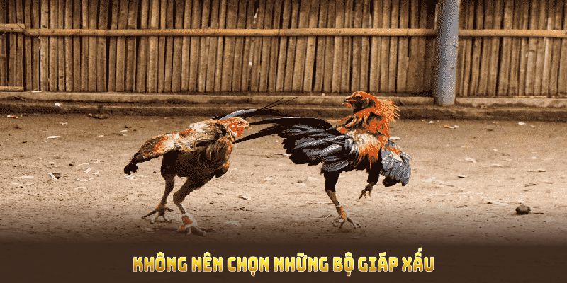 Không nên chọn những bộ giáp xấu để tránh rủi ro khi ra trận 